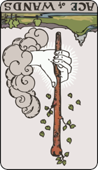 Ace of Wands icon