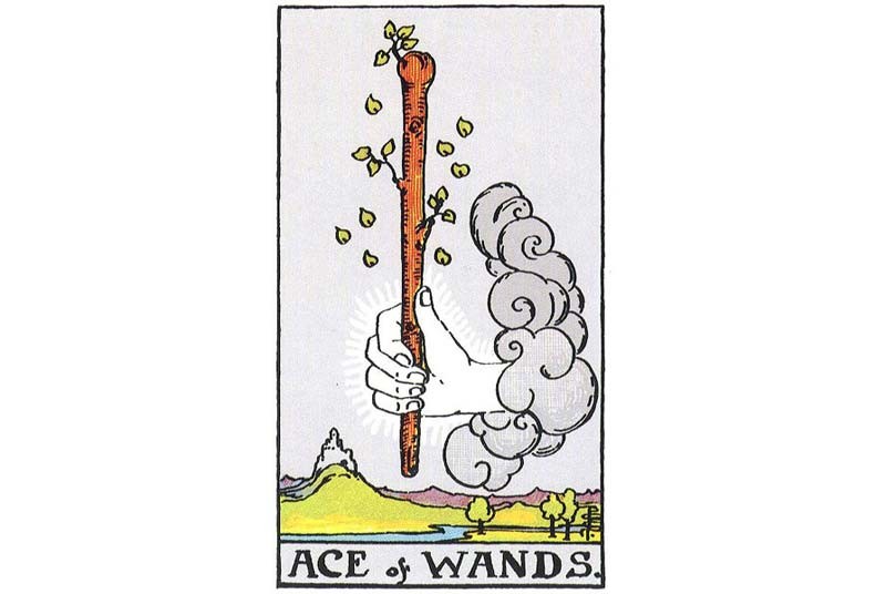 ace-of-wands